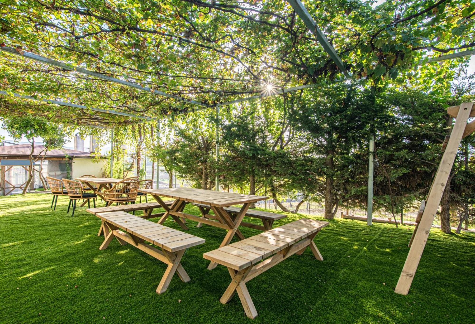 Mirtilo Apartment Oinofyta Ngoại thất bức ảnh